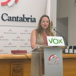 Vox ve "grav&iacute;simo" y un "dictamen pol&iacute;tico" que el TC mantenga suspendida la ley que derog&oacute; la de Memoria Hist&oacute;rica