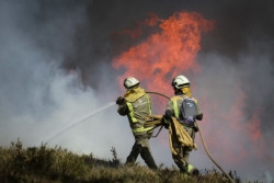 WWF alerta: El 2025 podr&iacute;a ser el a&ntilde;o con m&aacute;s hect&aacute;reas quemadas del siglo XXI si se confirman las estimaciones