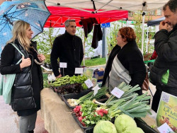 Zuloaga visita la III Feria de la Huerta de Bezana, con m&aacute;s de 100 puestos
